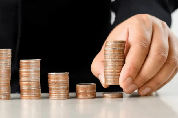 Devlet Katkısı Oranı Devlet Katkısı Oranı